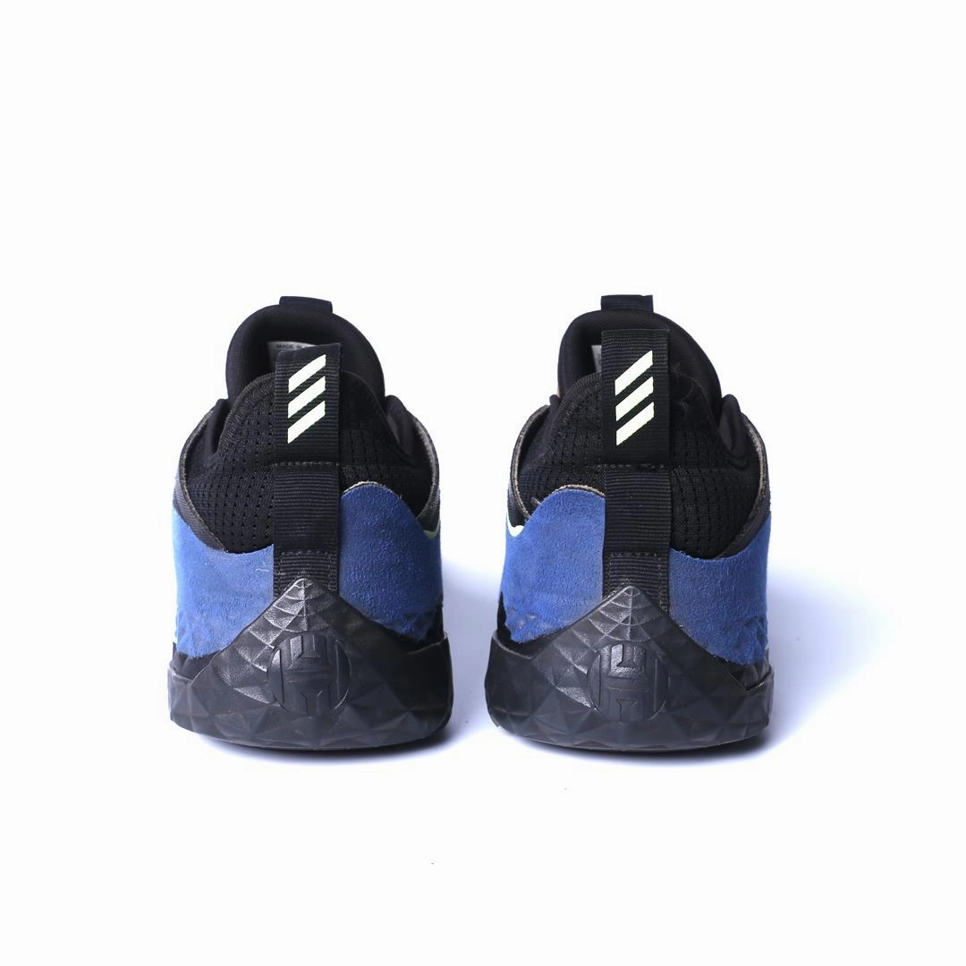 ADIDAS HARDEN VOL. 5 FUTURENATURAL Adidas Running Shoes for Endurance