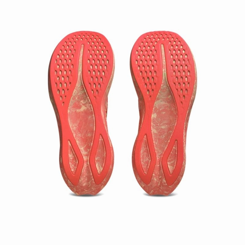 ASICS Noosa Tri 16 D Mens Running Shoes Asics responsive running shoes
