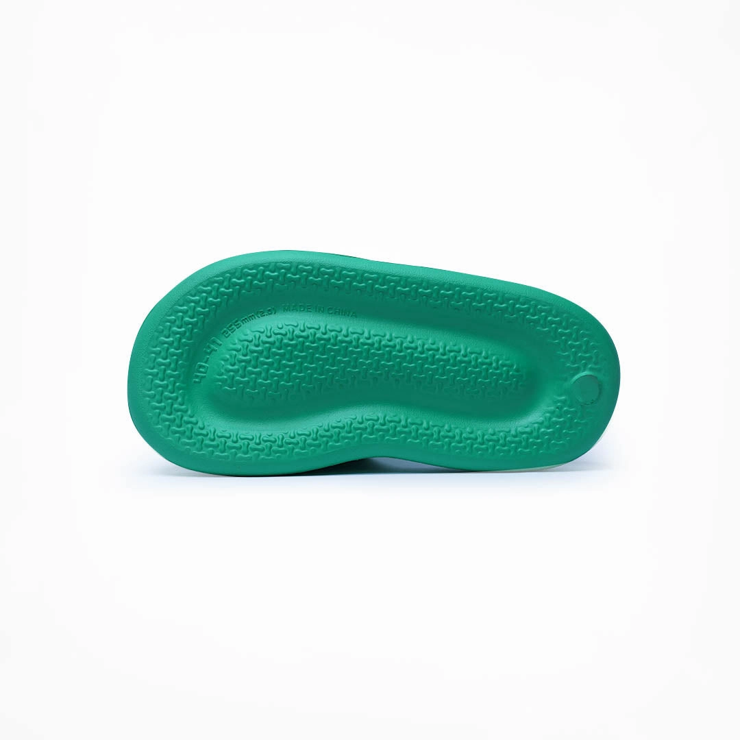 Birdsoles -  Nocturnal Nest Slides - Green Birdsoles to Born