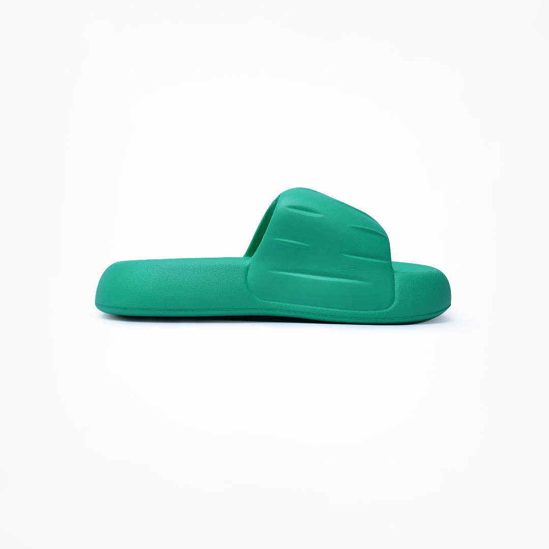 Birdsoles -  Nocturnal Nest Slides - Green Birdsoles to Born