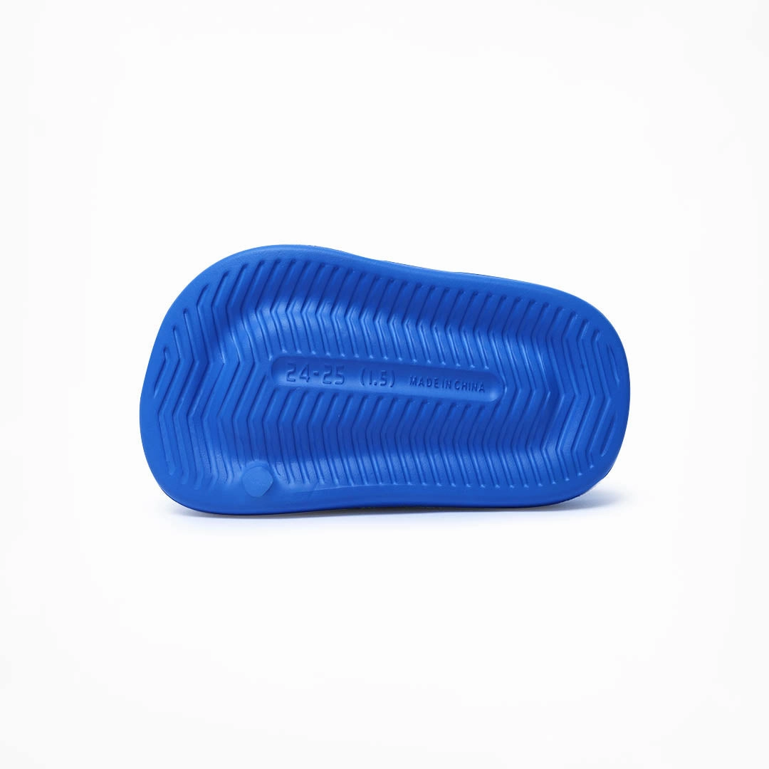 Birdsoles - Slides Classics Slides - Blue Birdsoles to Born