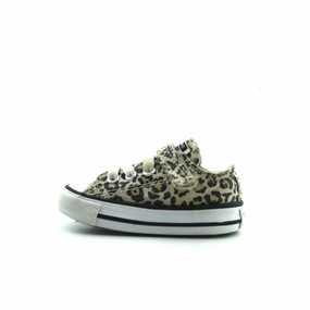 CONVERSE ALL STAR Converse retro sneaker designs
