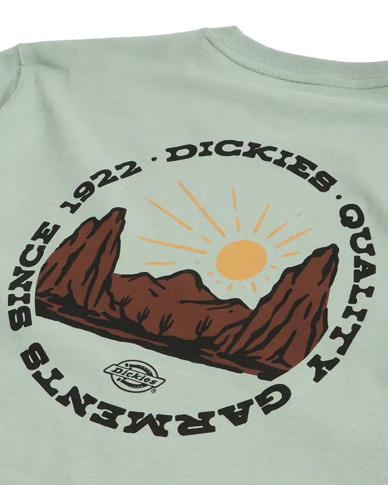 Dickies Outdoor T-Shirt in Iceberg Green