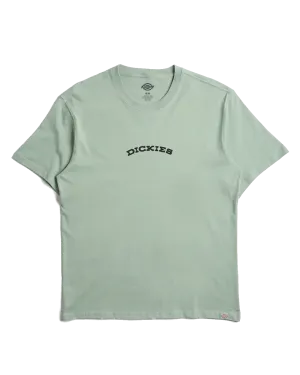 Dickies Outdoor T-Shirt in Iceberg Green