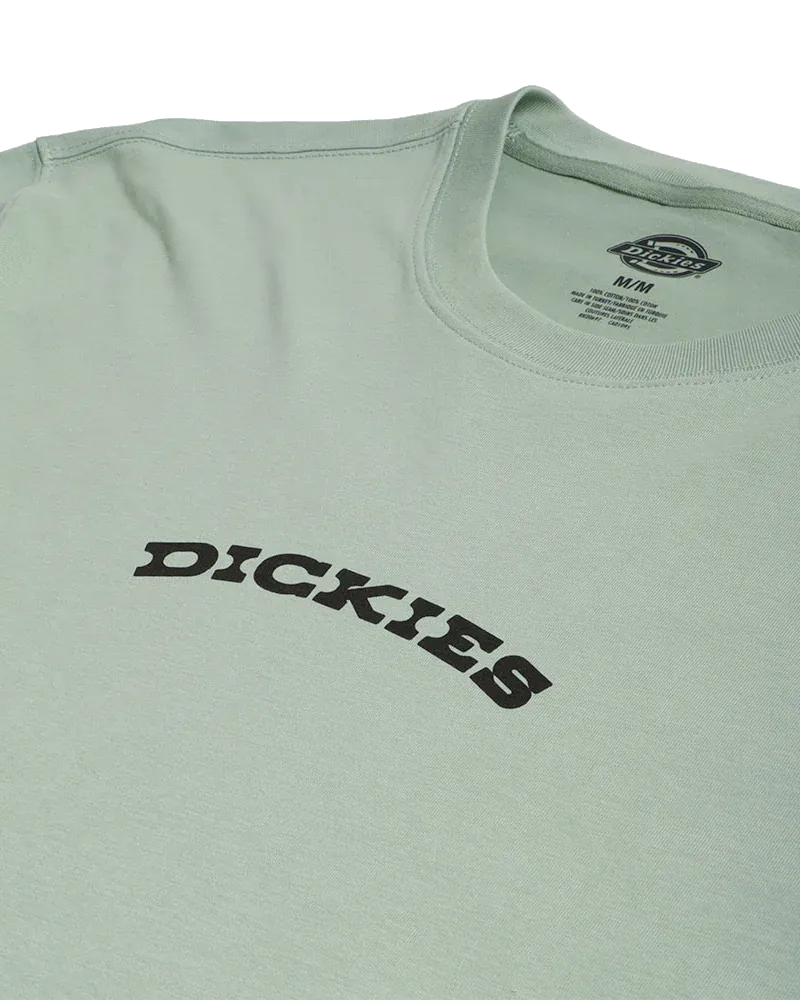 Dickies Outdoor T-Shirt in Iceberg Green
