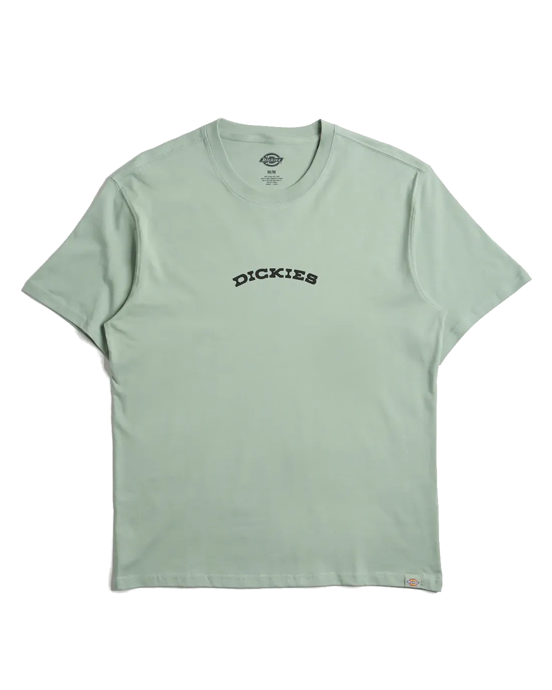Dickies Outdoor T-Shirt in Iceberg Green