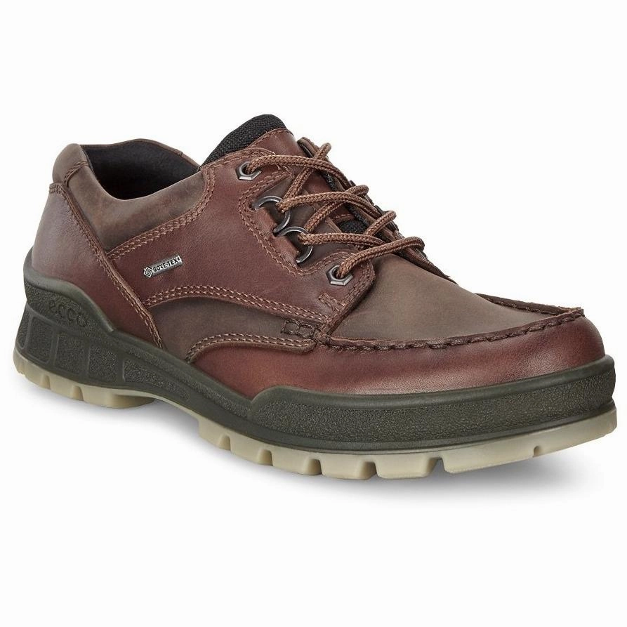 ECCO TRACK 25 SHOE MEN'S BISON Ecco ergonomic walking shoes for all-day support