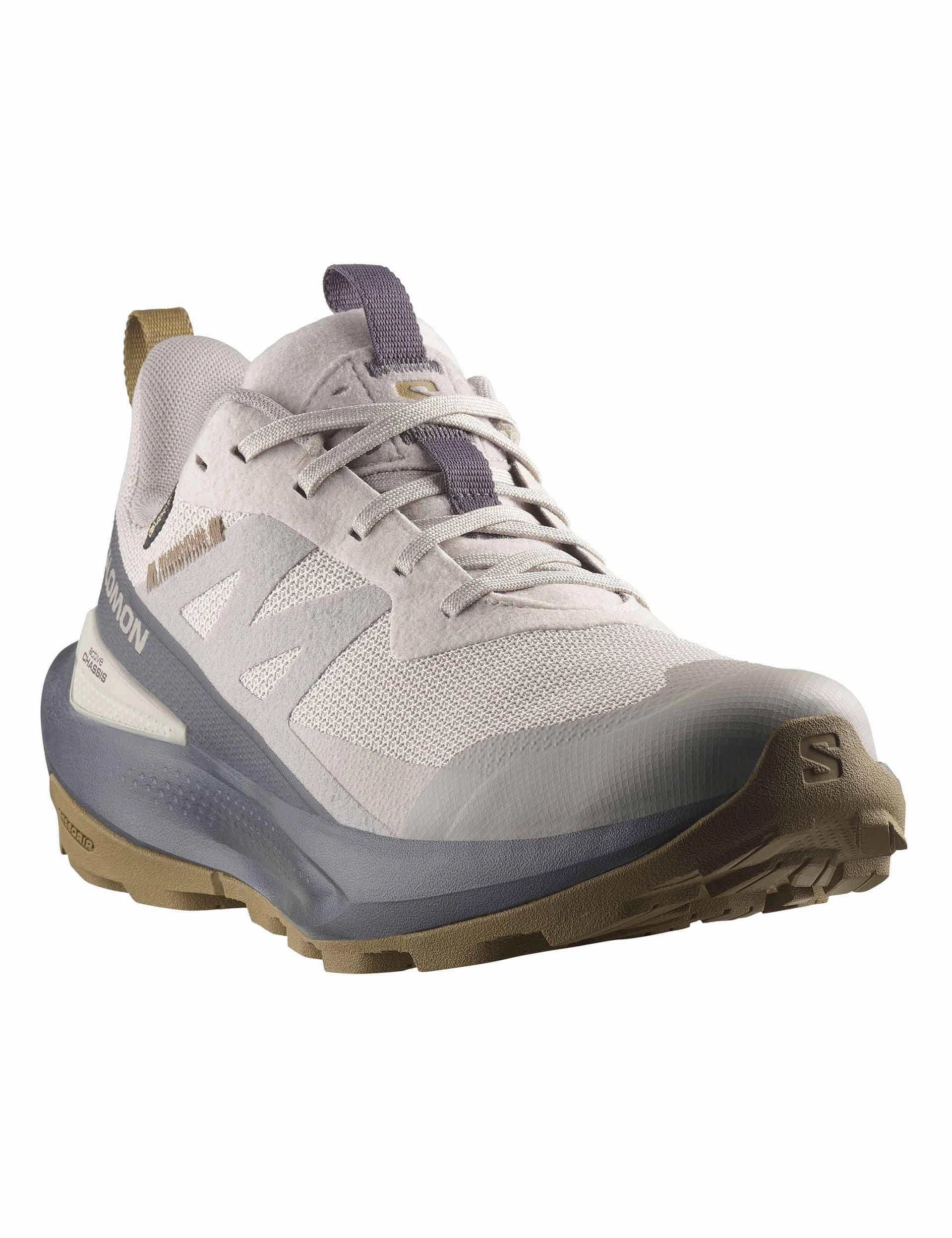 Elixir Activ Gore-Tex - Silver Cloud/Nine Iron/Gothic Olive Salomon high-performance outdoor shoes