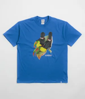 Nike ACG Toucan T-Shirt - Game Royal Nike ACG Outdoor Clothing