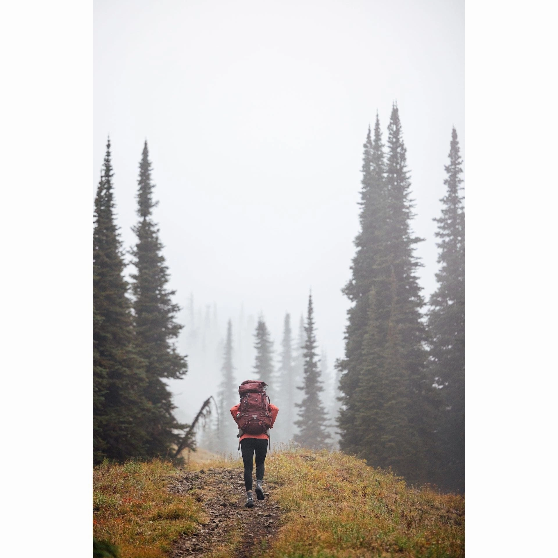 OBOZ SAWTOOTH X LOW WOMEN'S MEDIUM AND WIDE - FINAL SALE! Oboz rugged hiking boots