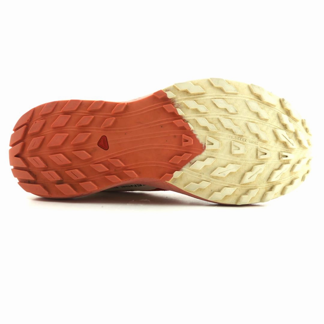 SALOMON SENSE RIDE 5 Salomon high-performance outdoor shoes