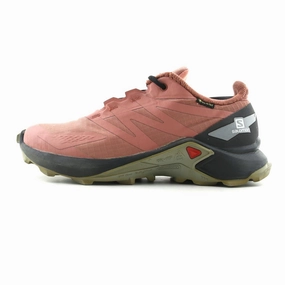 SALOMON SUPERCROSS BLAST GTX Salomon multi-terrain runners for men