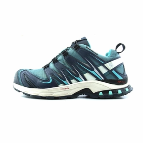 SALOMON XA PRO 3D GTX Salomon multi-terrain runners for men