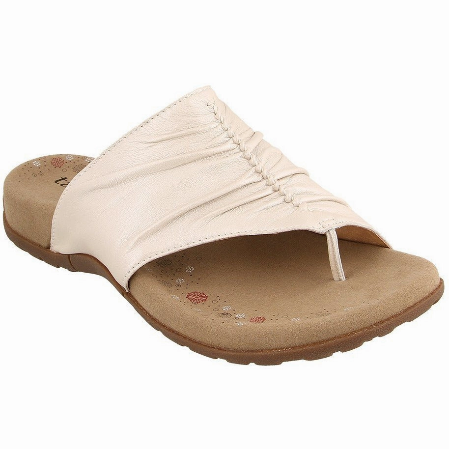 TAOS GIFT 2 Taos stylish comfort shoes