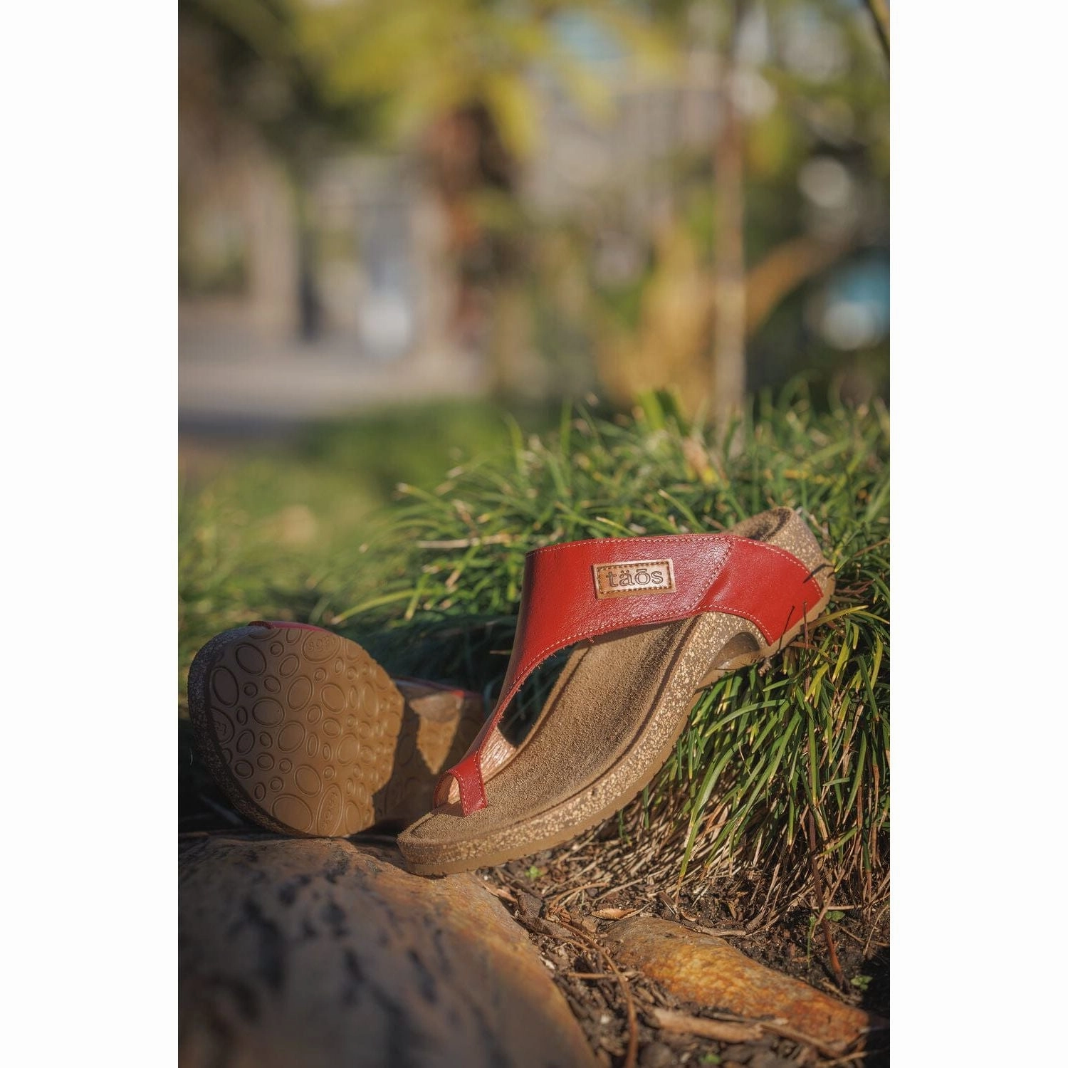 TAOS LOOP Taos stylish comfort shoes