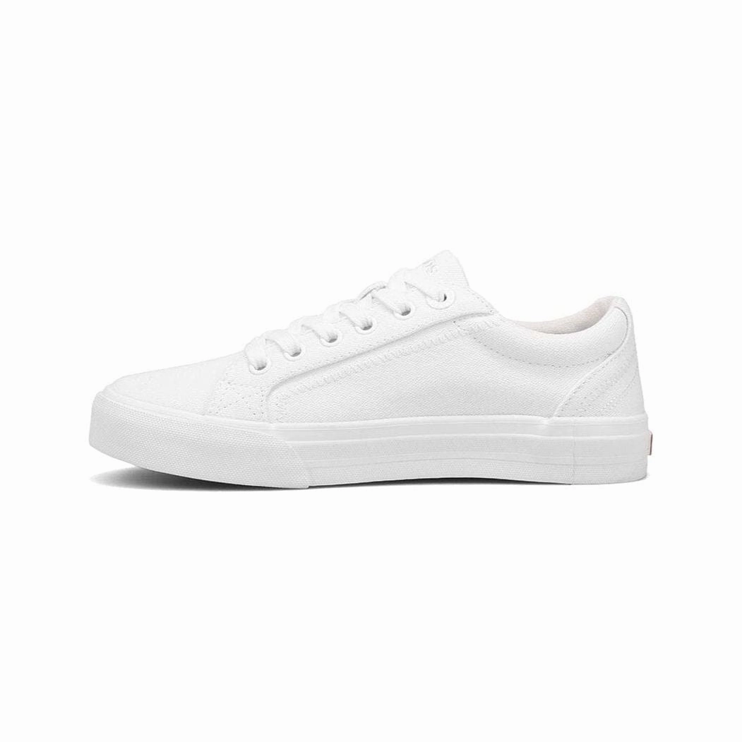 TAOS PLIM SOUL WIDE Taos stylish comfort shoes