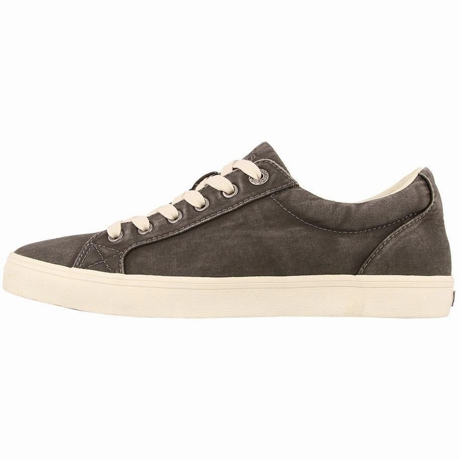 TAOS STARSKY MEN'S - FINAL SALE! Taos stylish comfort shoes