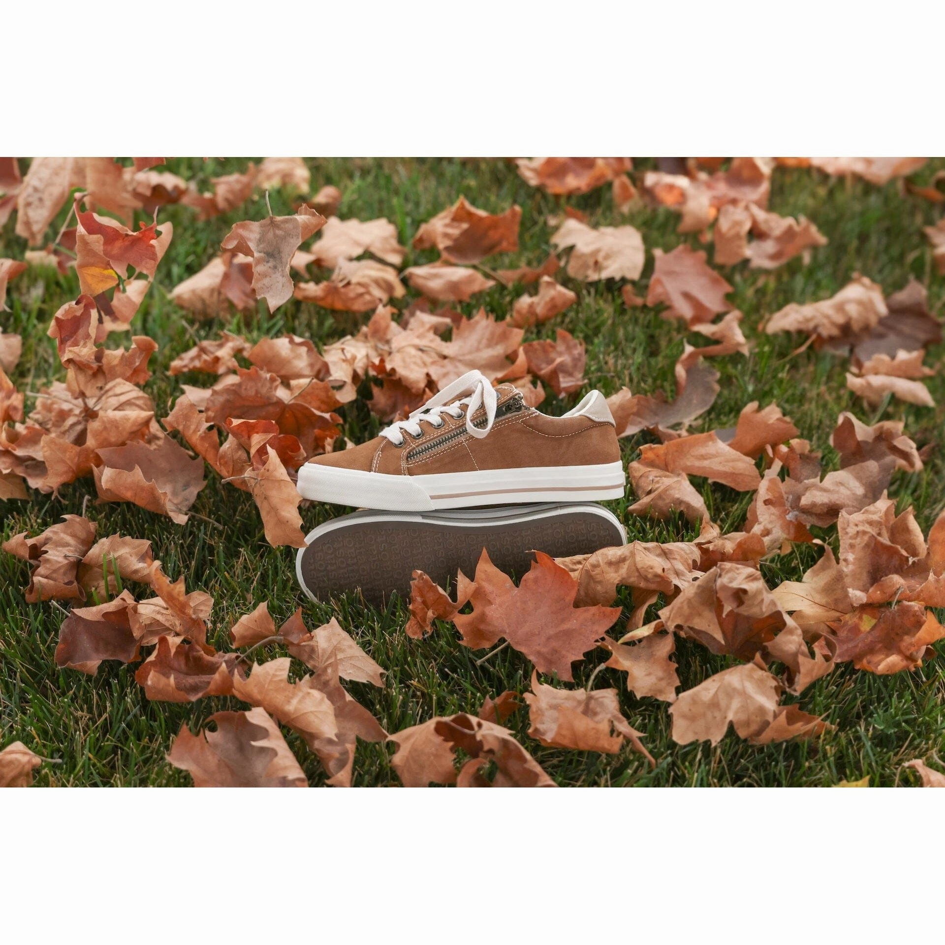 TAOS Z SOUL Taos stylish comfort shoes